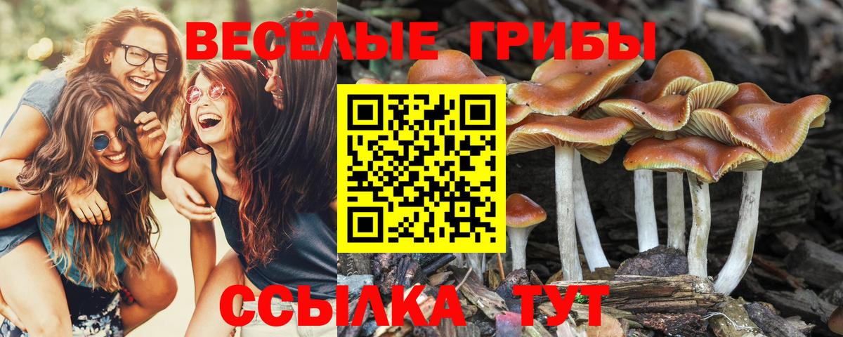 Галлюциногенные грибы мухоморы Елизово