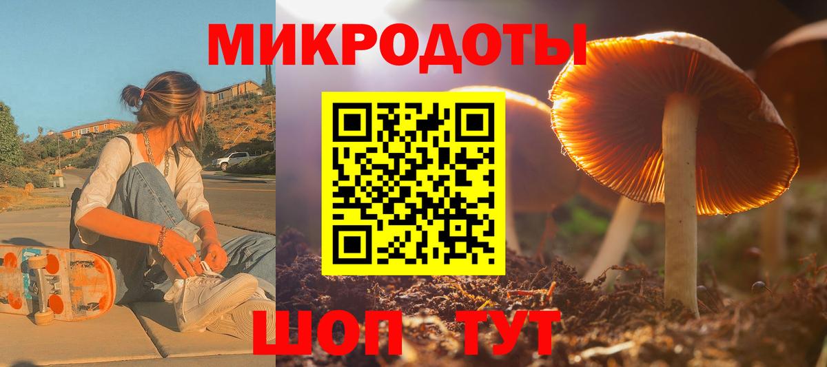 Галлюциногенные грибы Psilocybine cubensis  Псилоцибиновые грибы прущие грибы  Вход с VPN  Елизово 